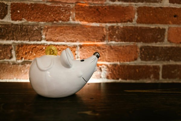 Comment investir en bourse pour augmenter son patrimoine